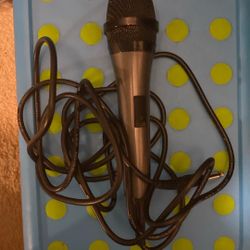 🎤 
