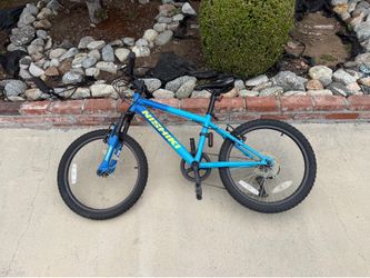 Nishiki 20” bike
