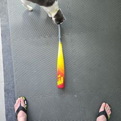 Baseball Bat