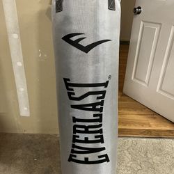 Everlast 70lb Punching Bag with spring