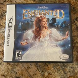 Enchanted Nintendo Ds