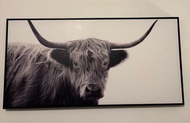 Large Framed Highland Cow Wall Art | Black & White Canvas