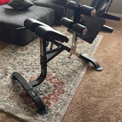 POWERTEC DUAL HYPEREXTENSION/CRUNCH P-HC20