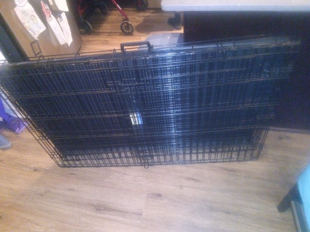 Dog Cage