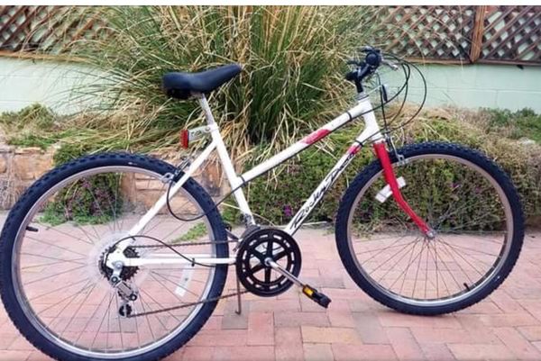 bmc carbon hardtail