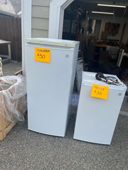 Freezer and mini refrigerator