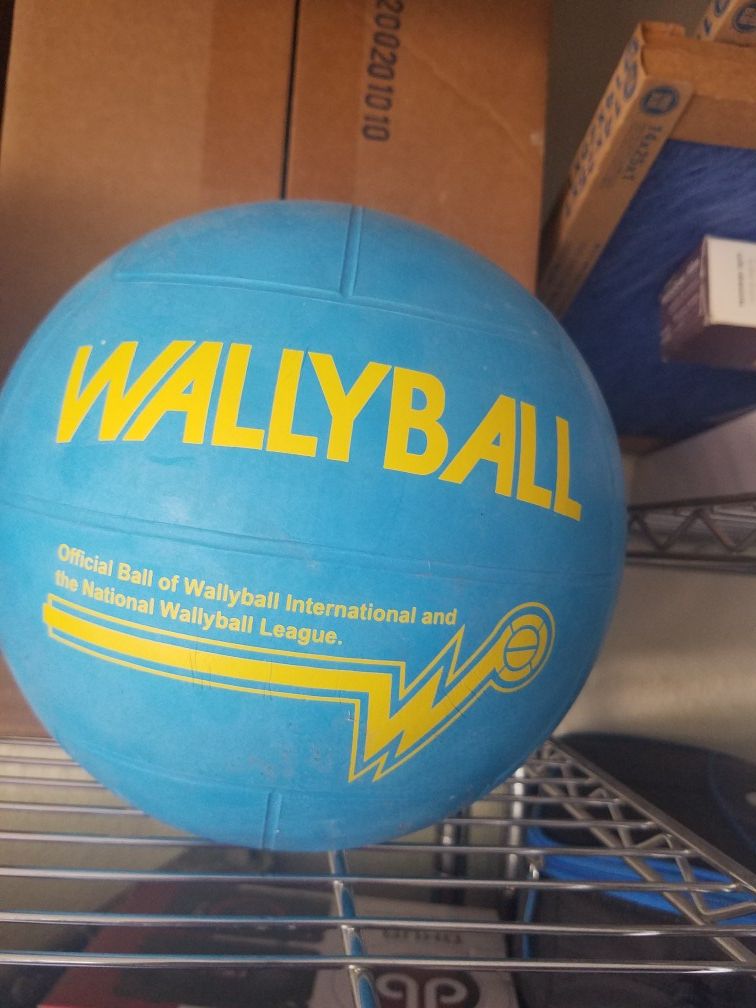 New walleyball