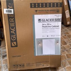 Glacier Bay 23.6 in. W x 30 in. H Rectangular Wood Composite Medicine Cabinet with Mirror 