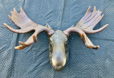 Moose trophy head mount Resin
