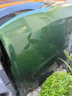 2021-2025 Ford Bronco Hood Green OEM
Light Scratches