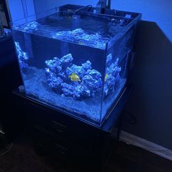 Waterbox Aquarium 20 Cube 