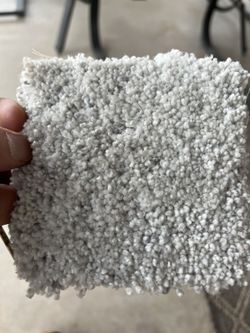 Brand New Carpet 10x13'