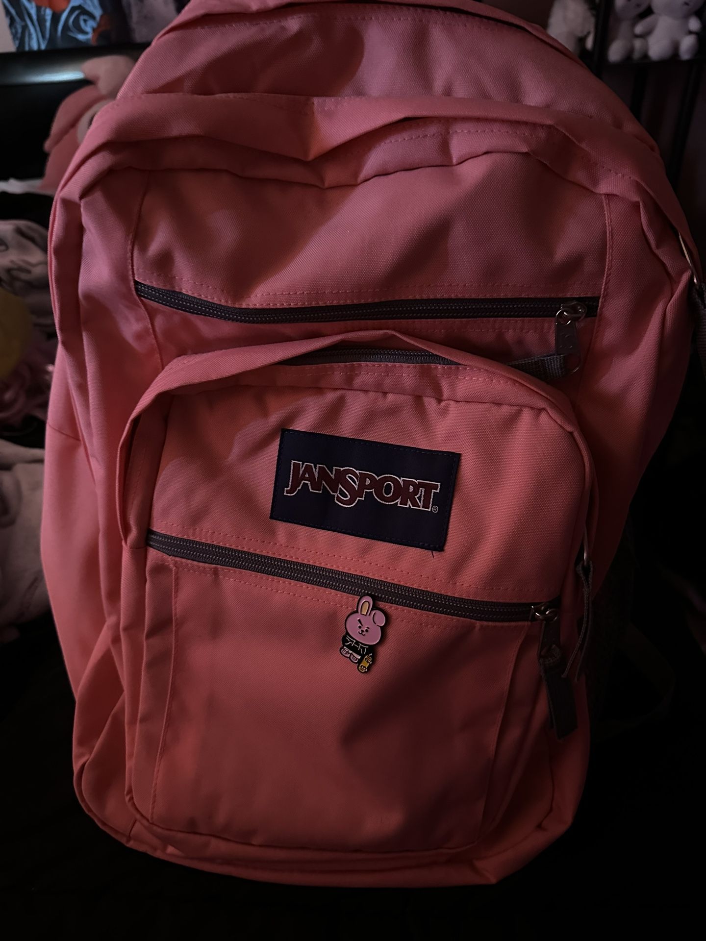 brand new jansports backpack