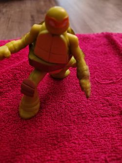 Teenage Mutant Ninja Turtle