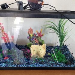 Aquarium with decoration