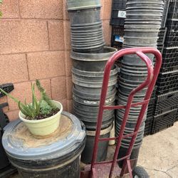 Read Description Garden Sanctuary Plant Plastic Container Potts