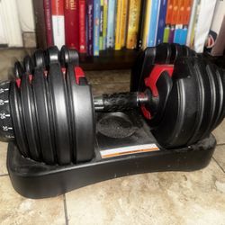 BowFlex Adjustable Dumbbell