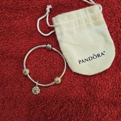 Pandora Sterling Silver Clasp Bracelet