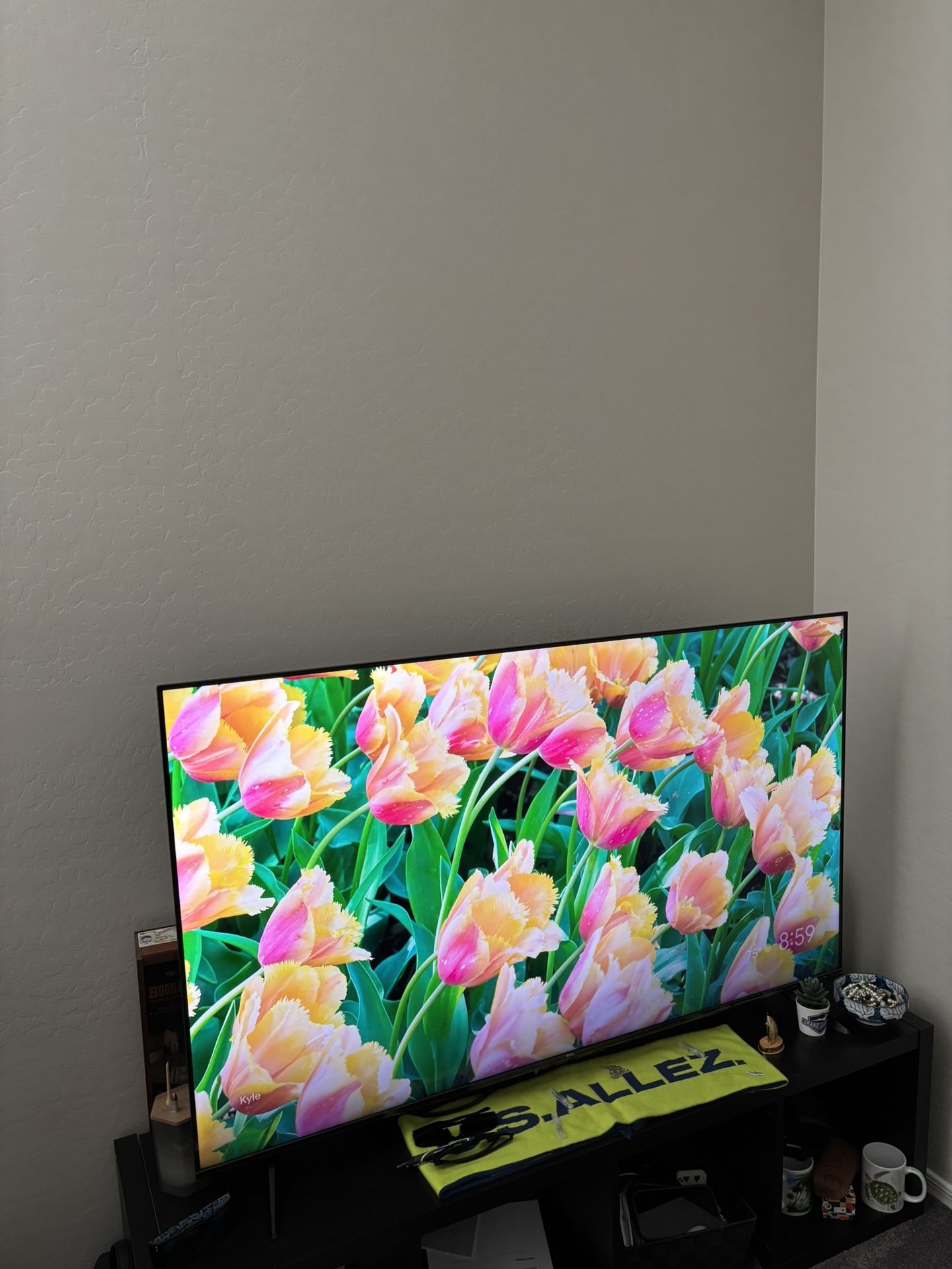 TCL TV 50 Inch