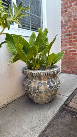 Concrete rock planter