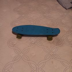 Mini Longboard
