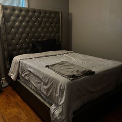 Queen Tufted Upholstered Bed Frame – Great Condition
