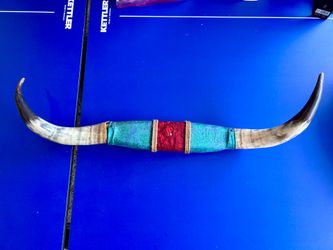 Vintage Mounted Longhorn Steer Horns – Ready to Hang