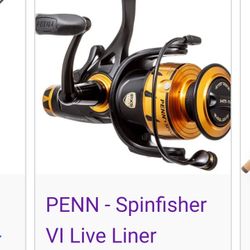 Penn 9ft Rod & 4500 Reel