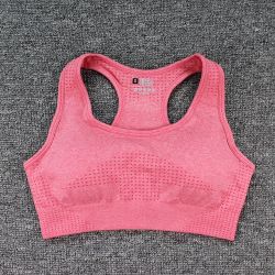 FREE GIFT Brand New Pink Workout /  Yoga Sports Bra 