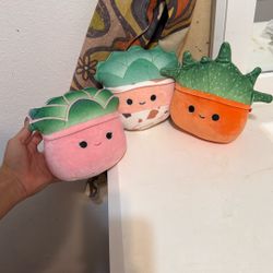 Succulent Plants Squishmallow 