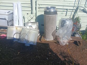 hydroponic setup