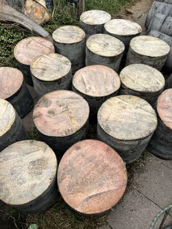 Palm Tree Stumps