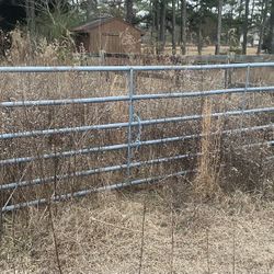 16 Foot Tubular Gate