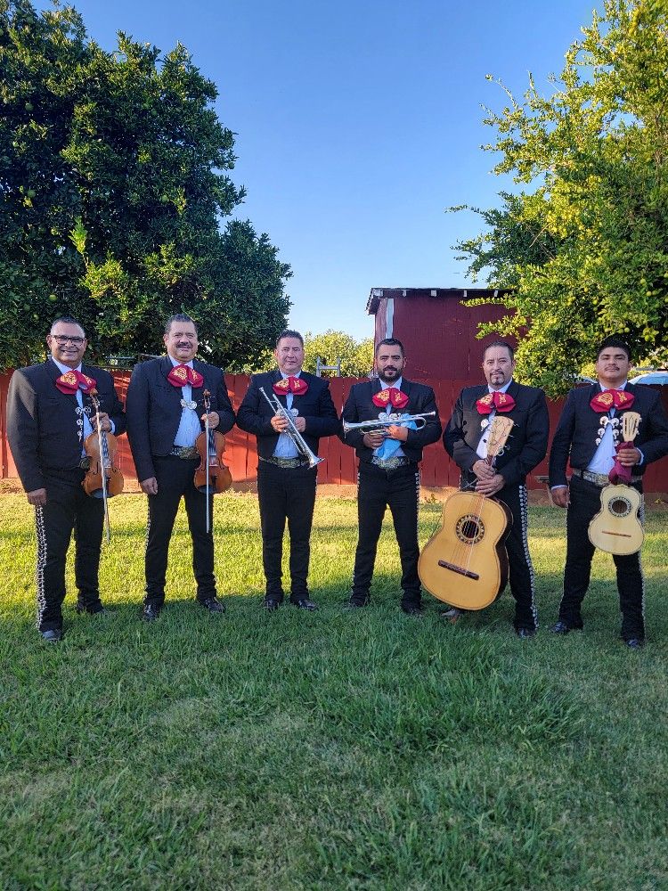 Mariachi Band (contact info removed)