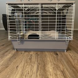 Guinea Pig Habitat