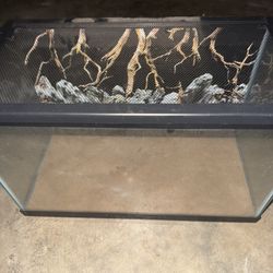 Reptile tank 10 gallon terrarium 