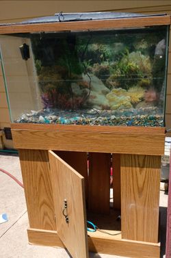 Aquarium 50gl