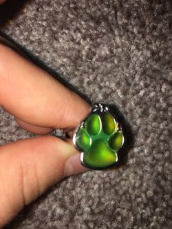 Wolf paw ring and owl necklace