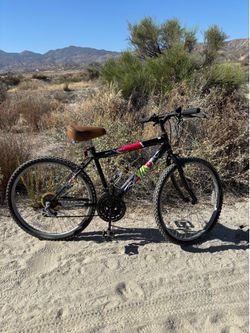 Mt Fury Roadmaster Bike