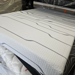 Mattress And Box Spring Size Queen 