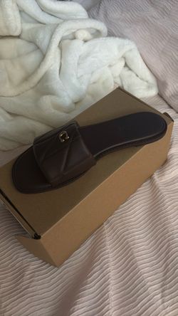 Coach slides