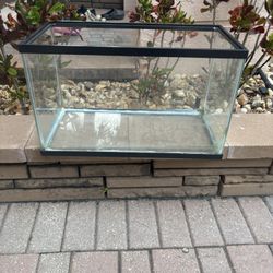 Fish Tank 