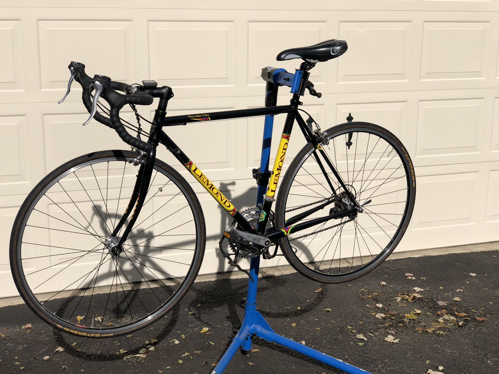 Lemond Nevada City 51cm road bike Reynolds 520 chrome moly made in USA