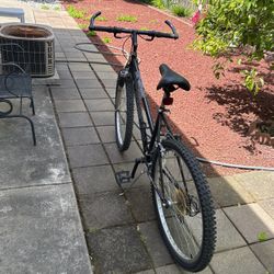 Adult Bike