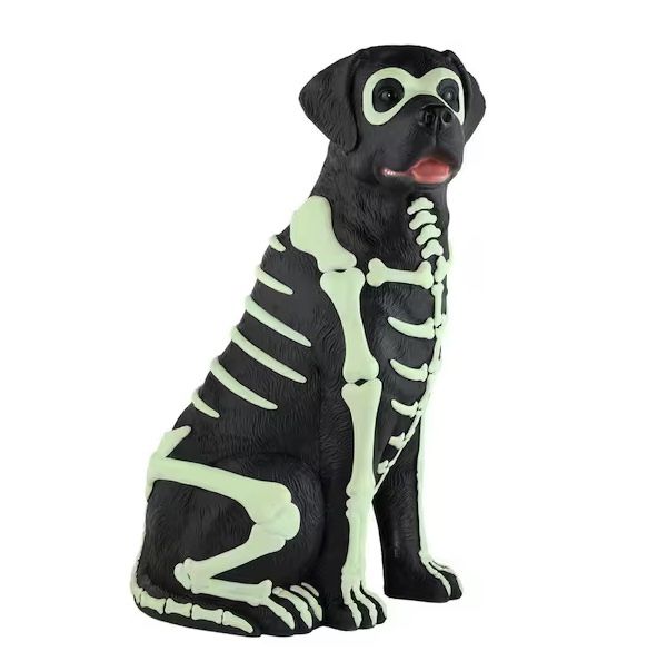 2.5 Ft. Glowing Skeleton Black Labrador