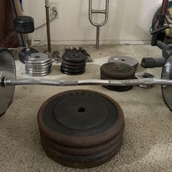 Over 300 Lbs Of Gym Plates And Barbell