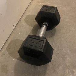 35 lb. Dumbbell Weight