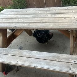 Patio Picnic Table