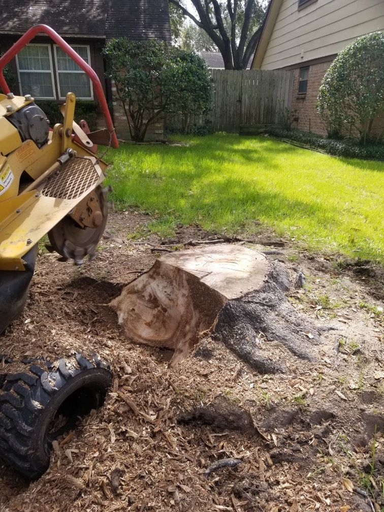 Stump grinding