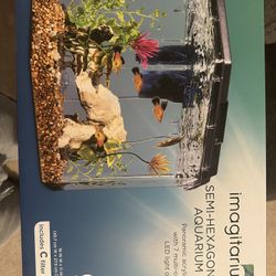 6.7 Gallon Imagitarium Semi- Hex Acrylic Tank 